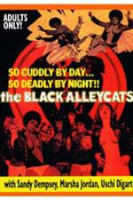 Watch The Black Alley Cats Sockshare