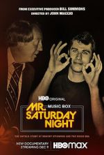 Watch Mr. Saturday Night Sockshare