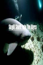 Watch National Geographic Wild Sixgill Shark Into The Abyss Sockshare
