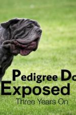 Watch Pedigree Dogs Exposed, Three Years On Sockshare