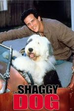 Watch The Shaggy Dog Sockshare