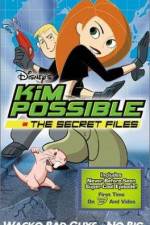 Watch "Kim Possible" Attack of the Killer Bebes Sockshare