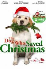 Watch The Dog Who Saved Christmas Sockshare