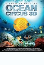 Watch Ocean Circus 3D: Underwater Around the World Sockshare