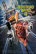 Watch Homeward Bound II: Lost in San Francisco Sockshare