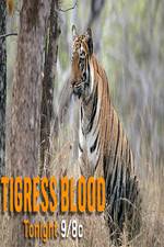 Watch Discovery Channel-Tigress Blood Sockshare