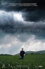 Watch A Host of Sparrows Sockshare
