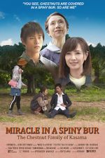 Watch Miracle in Kasama Sockshare