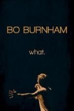 Watch Bo Burnham: what. Sockshare