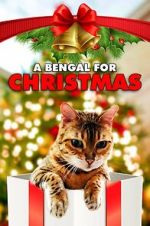 Watch A Bengal for Christmas Sockshare
