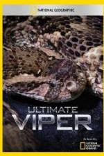 Watch National Geographic Ultimate Viper Sockshare