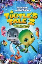 Watch A Turtle\'s Tale 2: Sammy\'s Escape from Paradise Sockshare