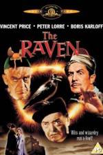 Watch The Raven Sockshare