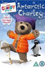 Watch Little Charley Bear - Antarctic Charley Sockshare