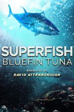 Watch Superfish Bluefin Tuna Sockshare
