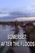 Watch Somerset: After the Floods Sockshare