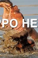 Watch Hippo Hell Sockshare