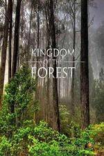 Watch National Geographic Kingdom of the Forest Sockshare