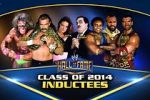 Watch WWE Hall of Fame Sockshare