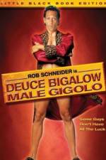 Watch Deuce Bigalow: Male Gigolo Sockshare