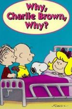 Watch Why Charlie Brown Why Sockshare