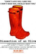 Watch Dissection of an Olive Sockshare