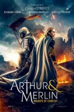 Watch Arthur & Merlin: Knights of Camelot Sockshare