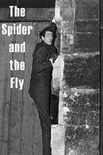 Watch The Spider and the Fly Sockshare