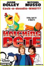 Watch Hatching Pete Sockshare