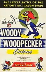 Watch The Woody Woodpecker Polka Sockshare