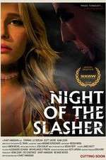 Watch Night of the Slasher Sockshare