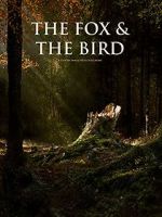 Watch The Fox and the Bird (Short 2019) Sockshare