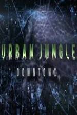 Watch National Geographic Wild Urban Jungle Downtown Sockshare