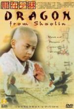 Watch Long zai Shaolin Sockshare