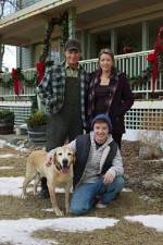 Watch Hallmark Hall of Fame A Dog Named Christmas Sockshare