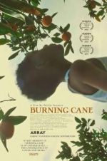 Watch Burning Cane Sockshare