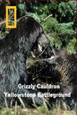 Watch National Geographic Grizzly Cauldron Sockshare