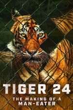 Watch Tiger 24 Sockshare
