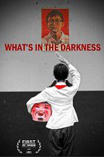 Watch What\'s in the Darkness Sockshare