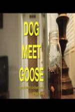 Watch Dog Meet Goose Sockshare
