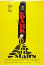 Watch The Dark at the Top of the Stairs Sockshare