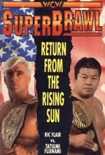 Watch WCW SuperBrawl I Sockshare