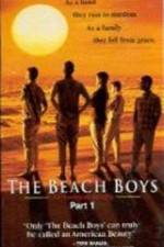 Watch The Beach Boys An American Family Sockshare