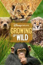 Watch Growing Up Wild Sockshare