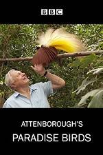 Watch Attenborough's Paradise Birds Sockshare