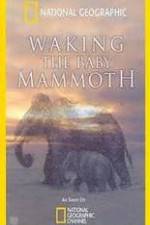 Watch Waking the Baby Mammoth Sockshare