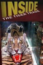 Watch Inside: The Tiger Trade Sockshare