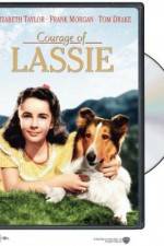 Watch Courage of Lassie Sockshare