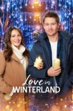 Watch Love in Winterland Sockshare