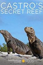 Watch Castro\'s secret reef Sockshare